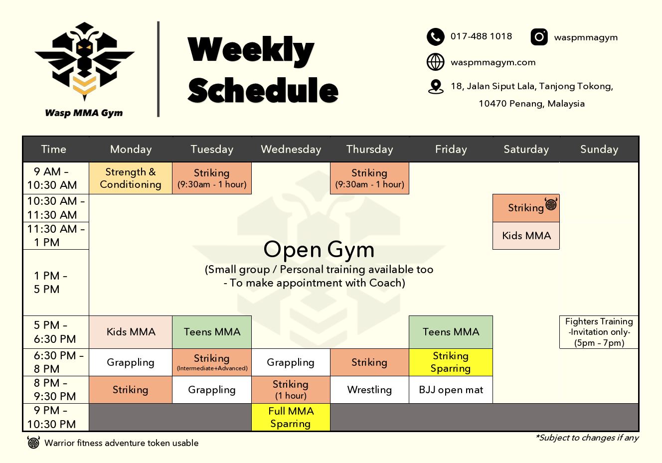 Wasp MMA Gym weekly class timetable, showing all class times and days